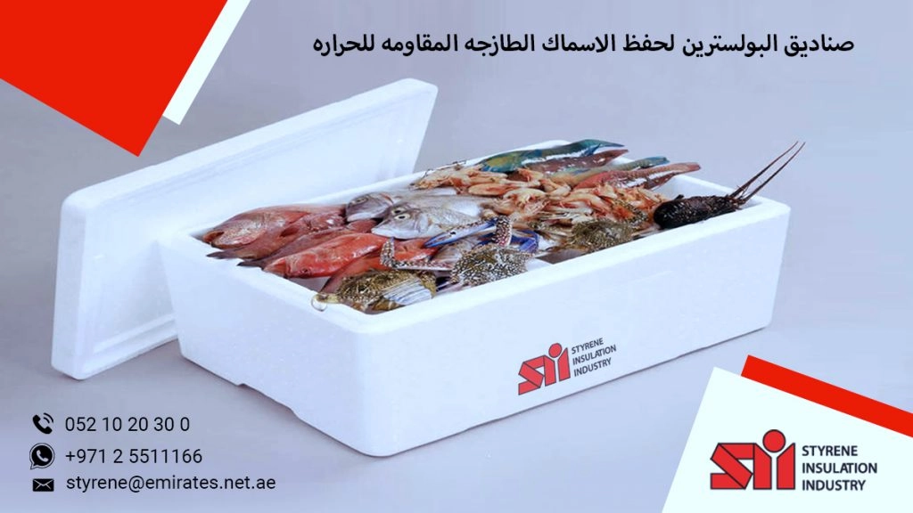 How to Recycle Your Polystyrene Fish Box efficiently?