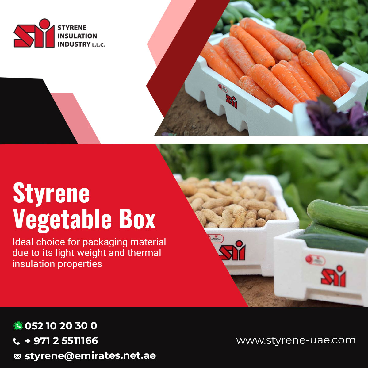 Why Styrene Vegetable Boxes are Ideal for Farmers Markets